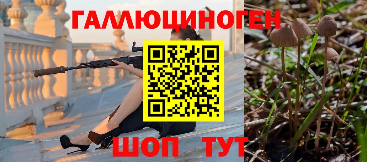 Галлюциногенные грибы Magic Shrooms Вышний Волочёк